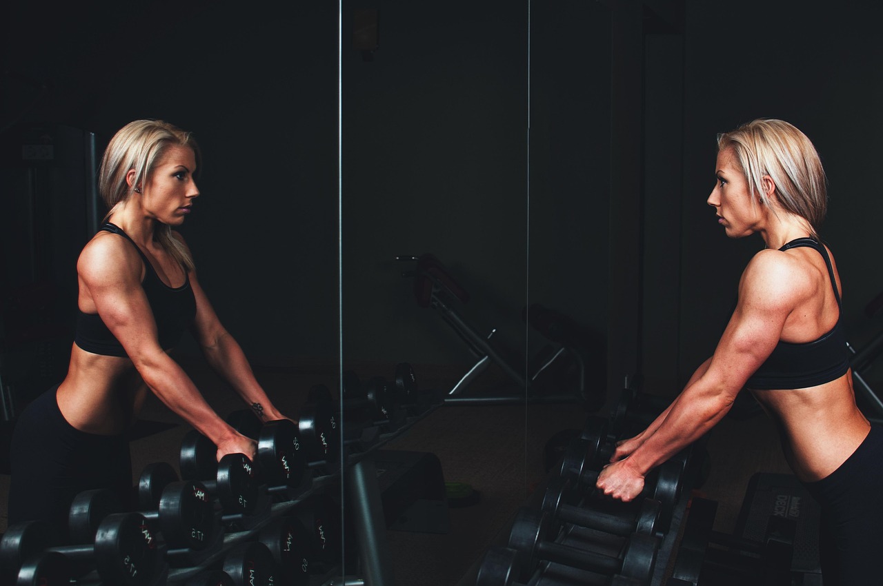 Otterfit Fitness Club collection